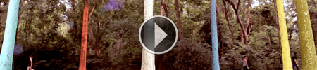 Test vimeo video viewer